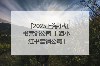 2025上海小红书营销公司 上海小红书营销公司