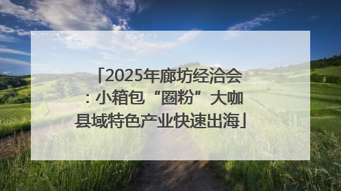 2025年廊坊经洽会：小箱包“圈粉”大咖 县域特色产业快速出海