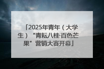 2025年青年（大学生）“青耘八桂·百色芒果”营销大赛开幕