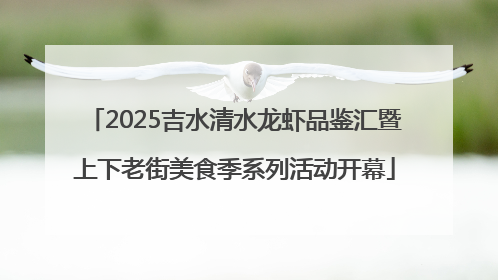 2025吉水清水龙虾品鉴汇暨上下老街美食季系列活动开幕