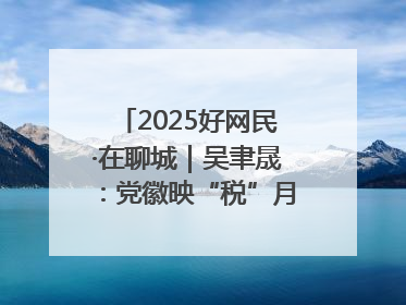 2025好网民·在聊城｜吴聿晟：党徽映“税”月 网播传政声