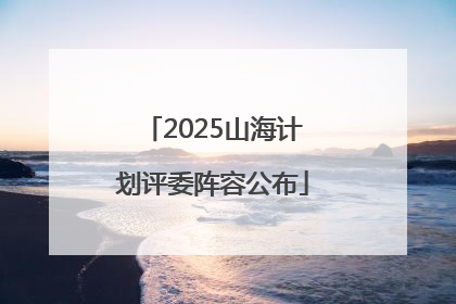2025山海计划评委阵容公布