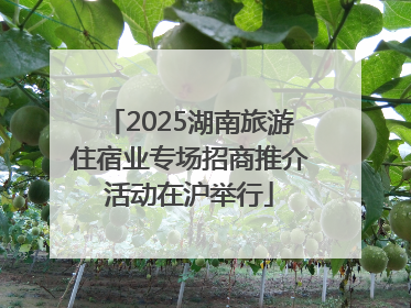 2025湖南旅游住宿业专场招商推介活动在沪举行