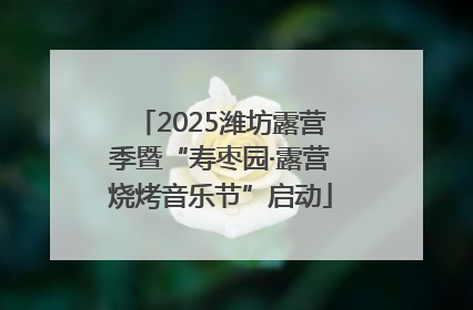 2025潍坊露营季暨“寿枣园·露营烧烤音乐节”启动