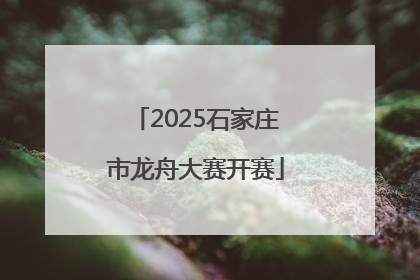 2025石家庄市龙舟大赛开赛