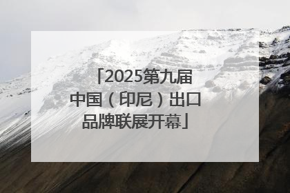 2025第九届中国（印尼）出口品牌联展开幕