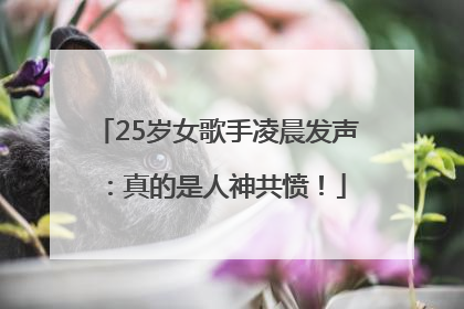 25岁女歌手凌晨发声：真的是人神共愤！