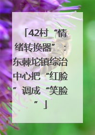 42村“情绪转换器”：东棘坨镇综治中心把“红脸”调成“笑脸”