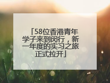 58位香港青年学子来到闵行，新一年度的实习之旅正式拉开
