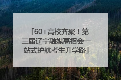 60+高校齐聚！第三届辽宁融媒高招会一站式护航考生升学路