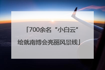 700余名“小白云”绘就南博会亮丽风景线