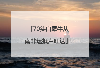 70头白犀牛从南非运抵卢旺达