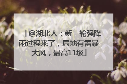 @湖北人：新一轮强降雨过程来了，局地有雷暴大风，最高11级