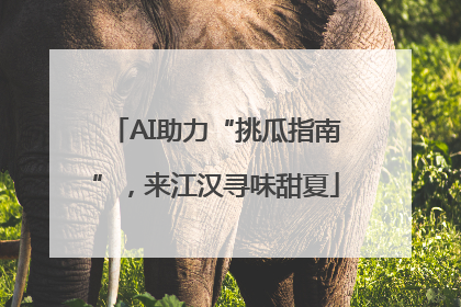AI助力“挑瓜指南”，来江汉寻味甜夏