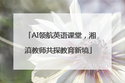 AI领航英语课堂，湘滇教师共探教育新境