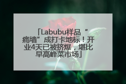 Labubu样品“痛墙”成打卡地标！开业4天已被挤爆，堪比早高峰菜市场